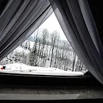 U Trebuniów Apartament *