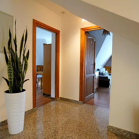 Apartman U Trebuniow W Okresie Zimowym Samochody Z Napedem 4x4 Suche